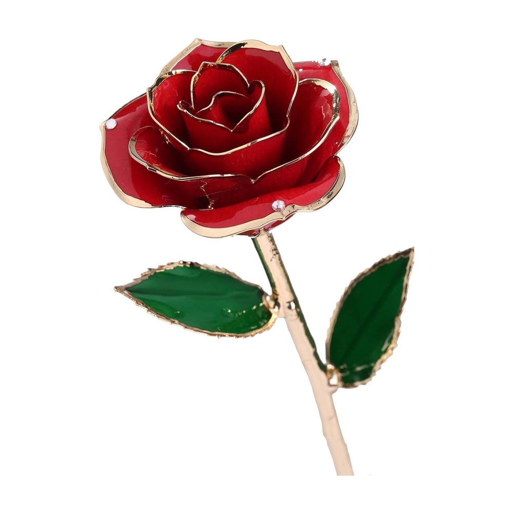 DSKENU 24K Gold Plated‎ Resin Preserved Real Red Eternal Rose Gift Box Set